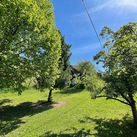 Villa Ferienhütte Bosic Baierdorf Exterior foto