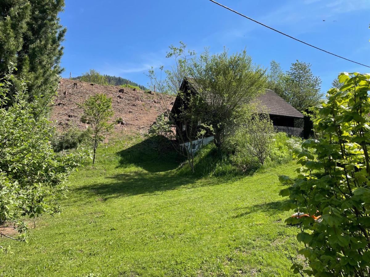 Villa Ferienhütte Bosic Baierdorf Exterior foto